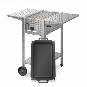 Gastrogrill-Set: Profi 102