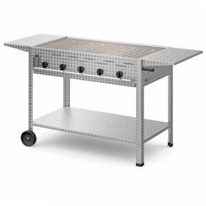 Gastrogrill-Set: Profi 501