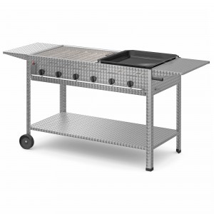 Gastrogrill-Set: Profi 602